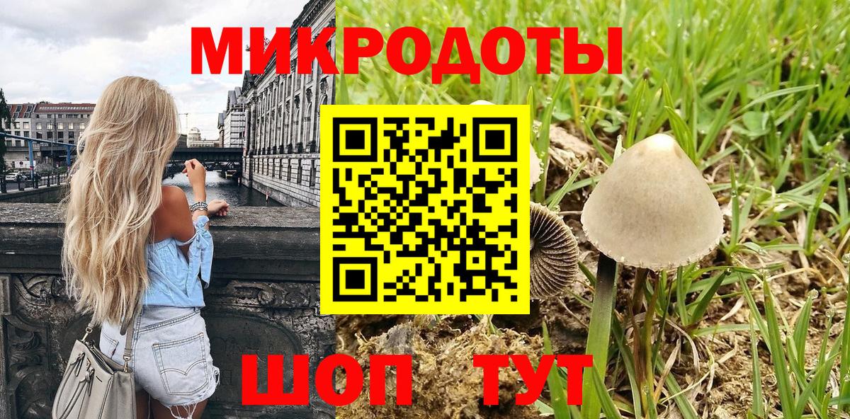 Галлюциногенные грибы прущие грибы Тихвин