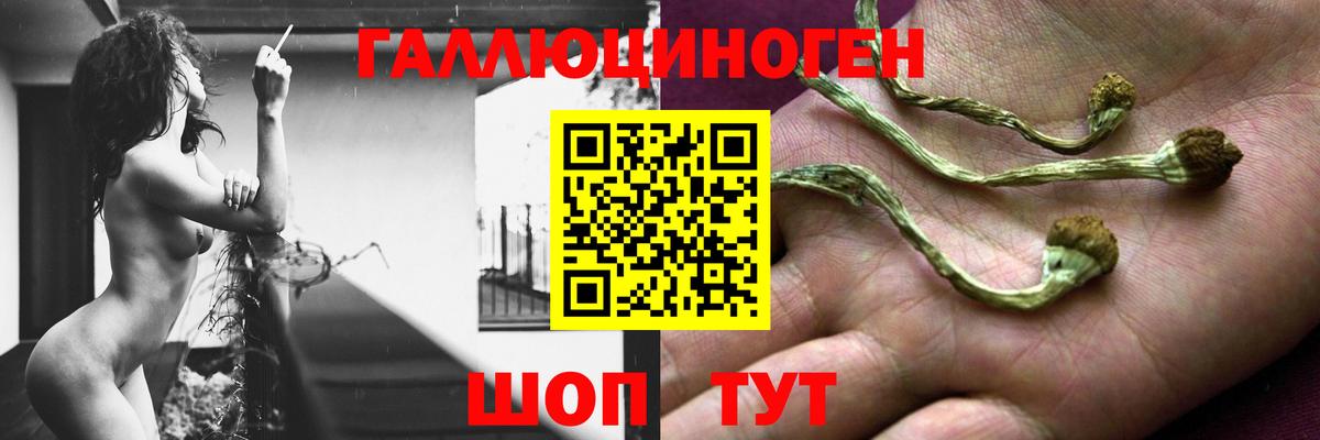 Тихвин  Псилоцибиновые грибы прущие грибы  Вход с VPN 